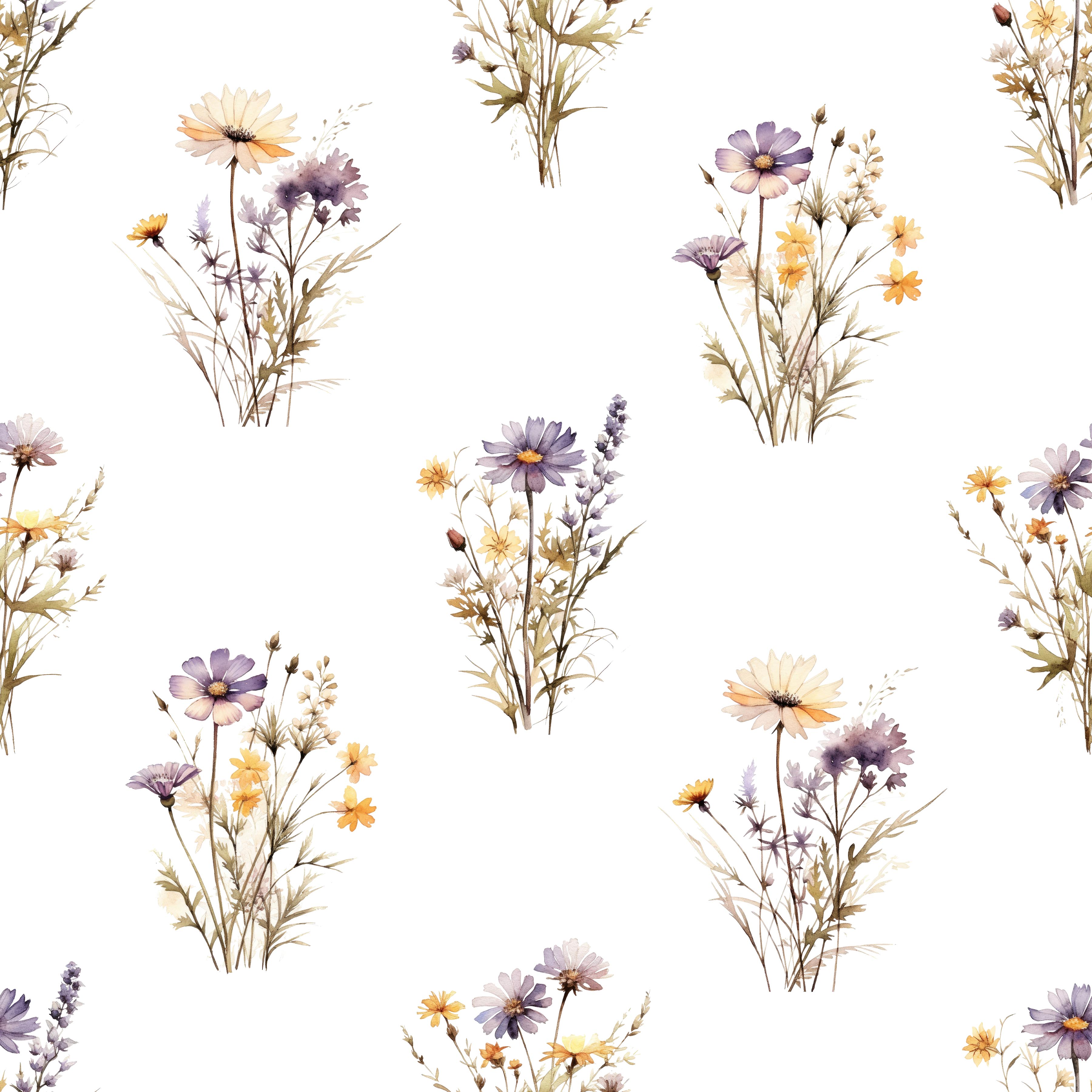 Wildflower Meadow